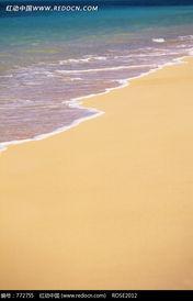 沙滩在线观看免费